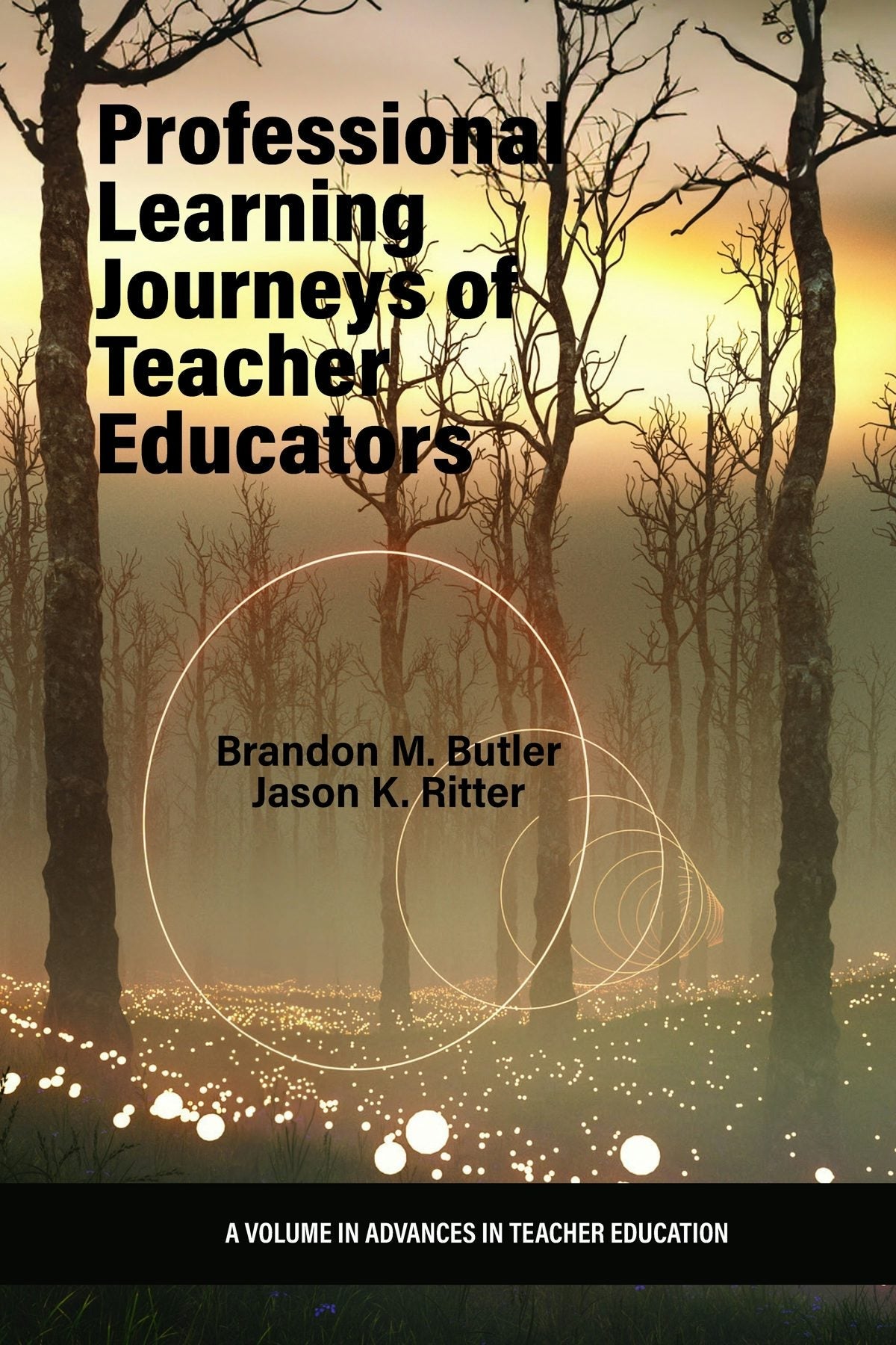 Book cover image for Professional Learning Journeys of Teacher Educators ISBN: 9798887304977